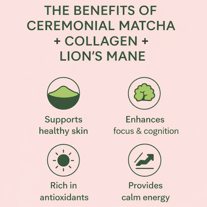 Doze Matcha - Lion's Mane & Collagen Latte